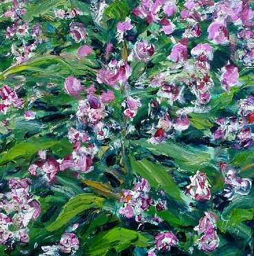 bluete7.jpg (39604 Byte)